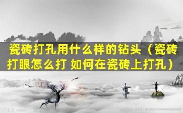 瓷砖打孔用什么样的钻头（瓷砖打眼怎么打 如何在瓷砖上打孔）